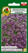 Nasiona i cebule - Smagliczka nadmorska fioletowa 0.5 g PNOS - miniaturka - grafika 1