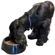 Miski dla psów - Bestron Paw Love Melamine bowl with steel bowl 700ml Black - miniaturka - grafika 1