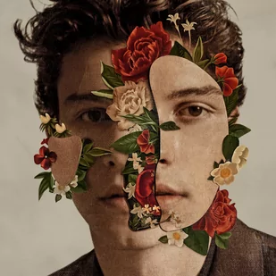 Shawn Mendes PL - Pop - miniaturka - grafika 1