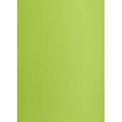 Scrapbooking - KARTON TOP A3 160G 66 JZIEL - miniaturka - grafika 1