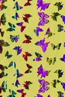 Folia, papier śniadaniowy, serwetki - Rainbow Motyle, papier kraft z nadrukiem, Paper Team - miniaturka - grafika 1
