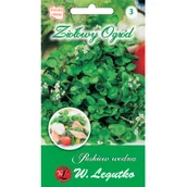 Nasiona i cebule - Legutko Rukiew wodna - miniaturka - grafika 1