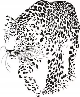 Naklejka na ścianę leopard - Dzikie koty 17, 58x48 cm - Naklejki na ścianę - miniaturka - grafika 1
