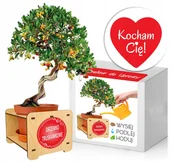 Nasiona i cebule - Zestaw Bonsai Drzewko Truskawkowe na Walentynki - miniaturka - grafika 1