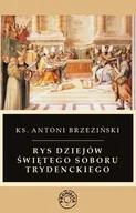 E-booki - religia - Rys dziejów świętego soboru trydenckiego - miniaturka - grafika 1