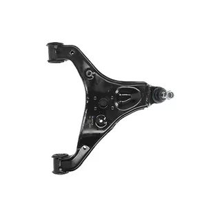 Wulf Gaertner Autoparts Wahacz, zawieszenie koła Wulf Gaertner Autoparts 116 050 0090 116 050 0090 - Wahacze - miniaturka - grafika 1