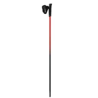 Kije trekkingowe - Viking Kij Nordic Walking, Pro-Trainer - miniaturka - grafika 1