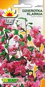 Nasiona i cebule - KLARKIA - DZIEROTKA - JASNORÓŻOWA - 5000 NASION - miniaturka - grafika 1