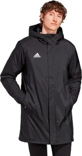 Kurtka męska Adidas Kurtka adidas ENTRADA 22 Stadium Jacket IB6076 - Kurtki męskie - miniaturka - grafika 1