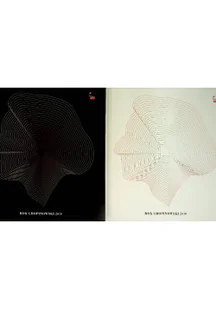 Rok chopinowski 2010 Tom I i II - Książki o kulturze i sztuce - miniaturka - grafika 1