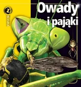 Książki edukacyjne - Owady i pająki - miniaturka - grafika 1