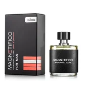 Wody i perfumy męskie - Magnetifico Allure For Ma,n perfumy, 50 ml - miniaturka - grafika 1