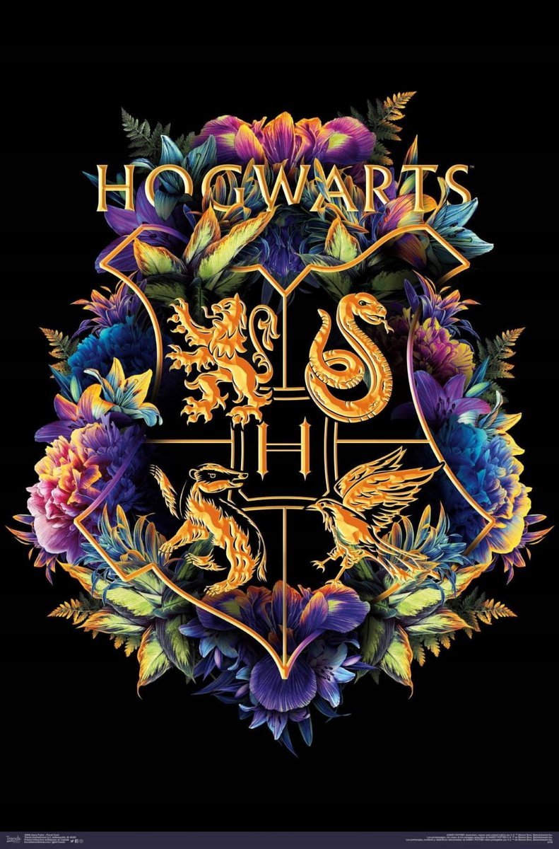 PUZZLE Harry Potter Hogwart Hermiona + IMIĘ Pudełko 120 el.