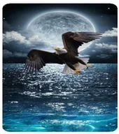 Zabawki kreatywne - Diamentowa Mozaika Orzeł I Księżyc 40x80cm - miniaturka - grafika 1