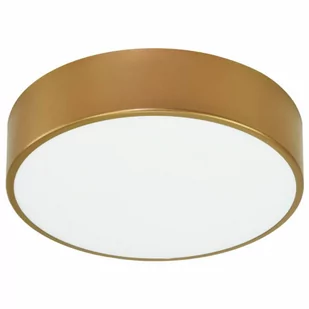 Euluna Lampa sufitowa Cleo 300, IP54, 30 cm złota - Lampy sufitowe - miniaturka - grafika 1