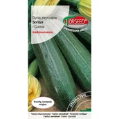 Nasiona i cebule - TORSEED nasiona CUKINIA ZWYCZAJNA ŚREDNIO WCZESNA SORAYA 2 G - miniaturka - grafika 1