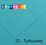 Szkolne artykuły papiernicze - Brystol Canson Colorline 25 turkusowy 150g 10k [mm:] 500x650 (200041401) - miniaturka - grafika 1