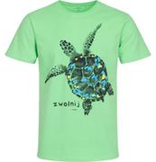 Koszulki męskie - Męski t-shirt z krótkim rękawem, z żółwiem, zielony - miniaturka - grafika 1