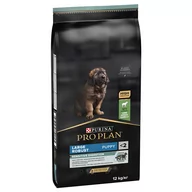 Sucha karma dla psów - Purina Pro Plan PURINA Large Robust Puppy OPTIDIGEST, jagnięcina - 2 x 12 kg - miniaturka - grafika 1