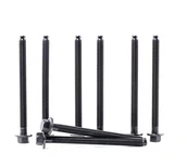 Głowice silnika - REINZ Zestaw śrub głowicy cylindrów REINZ 14-32344-01 - miniaturka - grafika 1