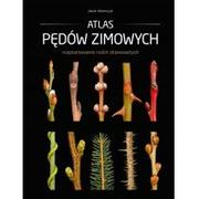 Dom i ogród - Atlas pędów zimowych - Jacek Adamczyk - miniaturka - grafika 1