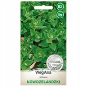 Nasiona i cebule - Szpinak Nowozelandzki nasiona 5g Odmiana płożąca WegAna - miniaturka - grafika 1