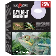 Akcesoria do terrarium - Repti Planet RP Żarówka Daylight Neodymium 25W - miniaturka - grafika 1