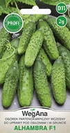 Nasiona i cebule - Ogórek Alhambra Partenokarpiczny (F1) 2g nasiona - WegAna - miniaturka - grafika 1
