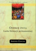 Religia i religioznawstwo - Salwator Oddech życia. Łaska formacji permanentnej - miniaturka - grafika 1