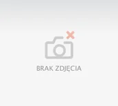 Zawiasy, okucia i inne akcesoria - Un Zawias Drzwiowy Ocynkowany Ozdobny 100Mm Lewy ZAW D100 OZL 5908312921264 - miniaturka - grafika 1