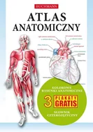 Książki medyczne - Atlas anatomiczny - miniaturka - grafika 1