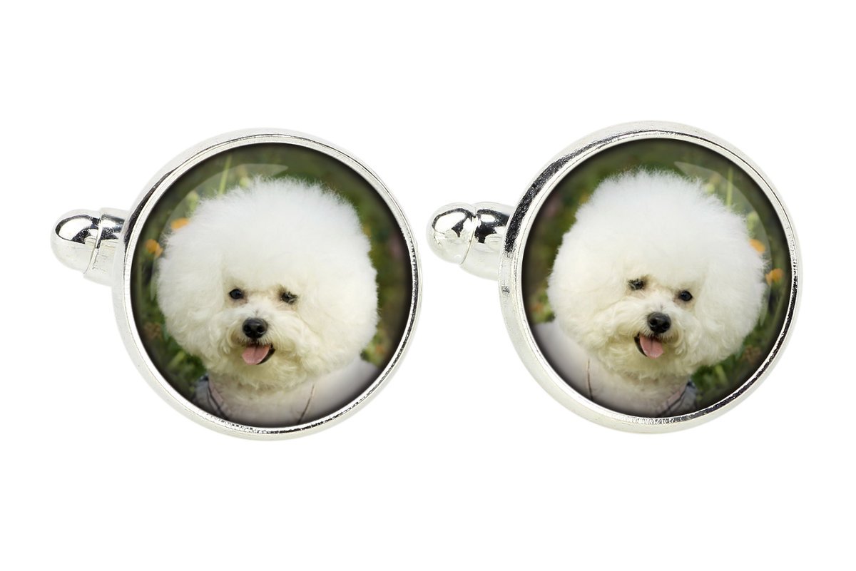 Bichon Frise, Tenerife Dog - spinki do mankietów, ozdoba koszuli, zawieszka do koszuli marki Art-Dog