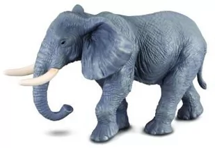 Collecta Słoń afrykański XL - Figurki dla dzieci - miniaturka - grafika 1