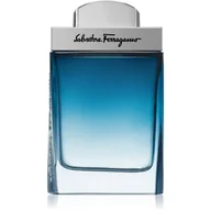 Wody i perfumy męskie - Salvatore Ferragamo Subtil pour Homme Woda toaletowa 50ml - miniaturka - grafika 1