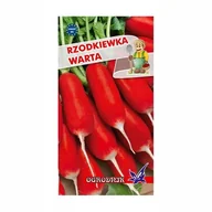Nasiona i cebule - Rzodkiewka Warta 10g / O / - miniaturka - grafika 1