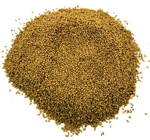 LNIANKA SIEWNA LNICZNIK NASIONA 200 G NATURALNY - Przyprawy i zioła sypkie - miniaturka - grafika 1