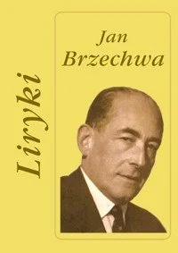 Liryki - Poezja - miniaturka - grafika 1