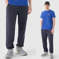 Dresy męskie - Spodnie Męskie 4F Joggery Sportowe Dresy Antracytowe 4FWSS25TTROM1120 XL Szary - miniaturka - grafika 1
