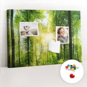 Tablice i flipcharty - Szkolna Tablica korkowa 60x40 cm, Kolorowe Pinezki, wzór Natura las drzewa - miniaturka - grafika 1