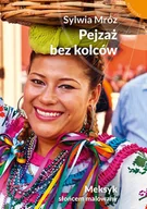 E-booki - literatura faktu - Pejzaż bez kolców. Meksyk słońcem malowany - miniaturka - grafika 1