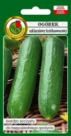 Nasiona i cebule - Ogórek pod osłony Twenty F1 1 g PNOS - miniaturka - grafika 1