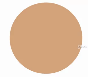 KRYOLAN Basic Face & Body korektor kryjący cienie pod oczami z pędzelkiem odcień 1 - Korektory do twarzy - miniaturka - grafika 1