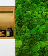 Panele ścienne i boazeria - 100x50 cm Mech - kompozycja MK3 - miniaturka - grafika 1