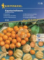 Nasiona i cebule - Kiepenkerl Miechunka peruwiańska Rodzynek brazylisjki 102032 - miniaturka - grafika 1