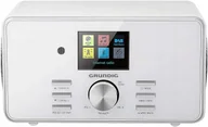 Radioodtwarzacze - Grundig DTR 5000 - miniaturka - grafika 1