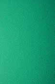 Dekoratorstwo - [ MB.16 ] Papier Prisma 220g Verde zielony - 10A4 / al *  Papier Prisma 220g Verde pak. 10A4 - miniaturka - grafika 1