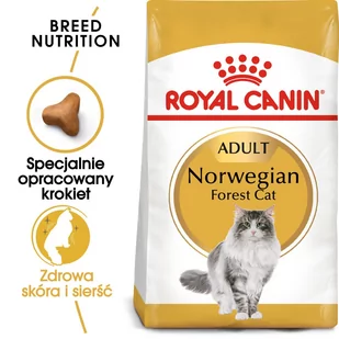 ROYAL CANIN Norvegian Forest Cat Adult 2kg + niespodzianka dla kota GRATIS! - Sucha karma dla kotów - miniaturka - grafika 1