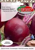 Nasiona i cebule - Nasiona Burak ćwikłowy Czerwona Kula 2 TAŚMA 100szt - Torseed - miniaturka - grafika 1