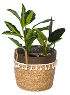 Donice - Kosz dekoracyjny pleciony naturalny trawa morska L - miniaturka - grafika 1