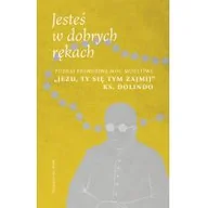 Religia i religioznawstwo - WAM Jesteś w dobrych rękach. Poznaj prawdziwą moc modlitwy "Jezu, Ty się tym zajmij" ks. Dolindo Karol Wilczyński - miniaturka - grafika 1